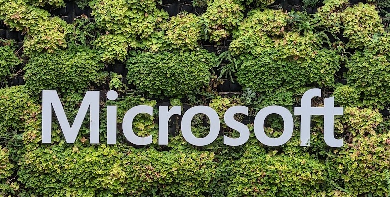 Microsoft Purchases 80,000 Tons of Carbon Removals from U.S. Forest Management Project